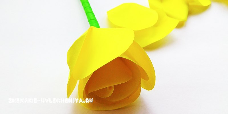 роза из цветной бумаги пошагово