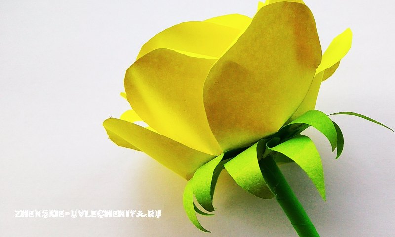 розы из цветной бумаги своими руками