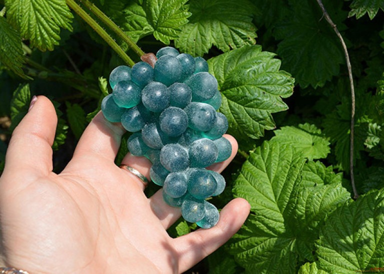Мыло ручной работы: «Гроздь винограда»