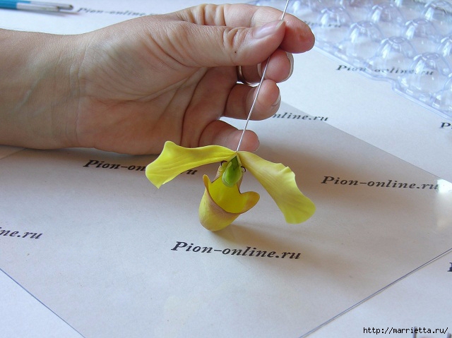 Орхидея Леди Слиппер из полимерной глины