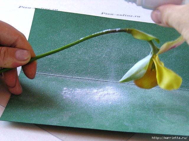 Орхидея Леди Слиппер из полимерной глины