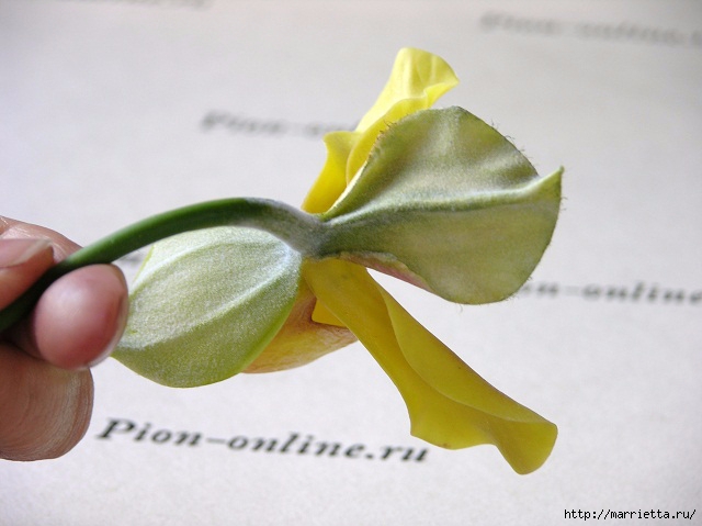 Орхидея Леди Слиппер из полимерной глины8