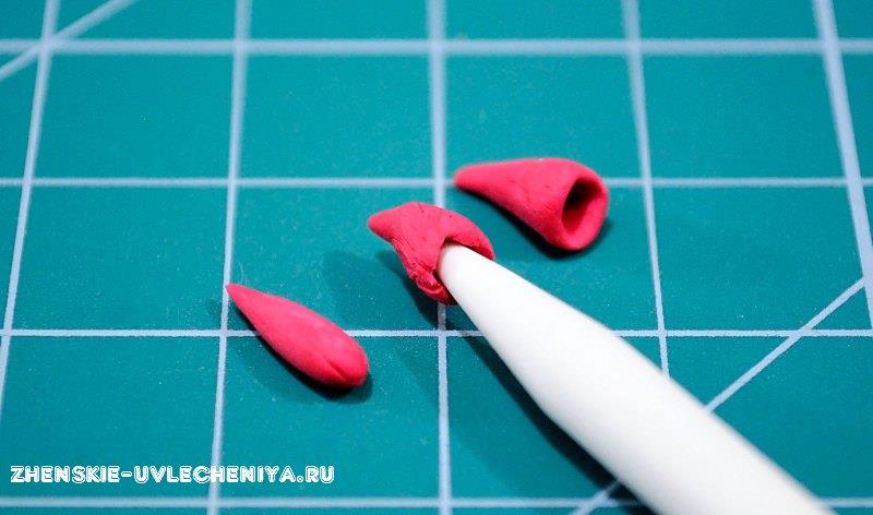 Коралы