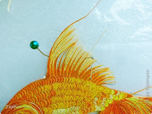 Золотая рыбка.  фото 8